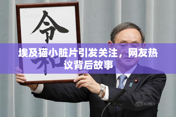埃及猫小脏片引发关注，网友热议背后故事