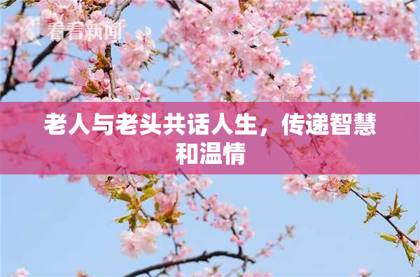 老人与老头共话人生，传递智慧和温情