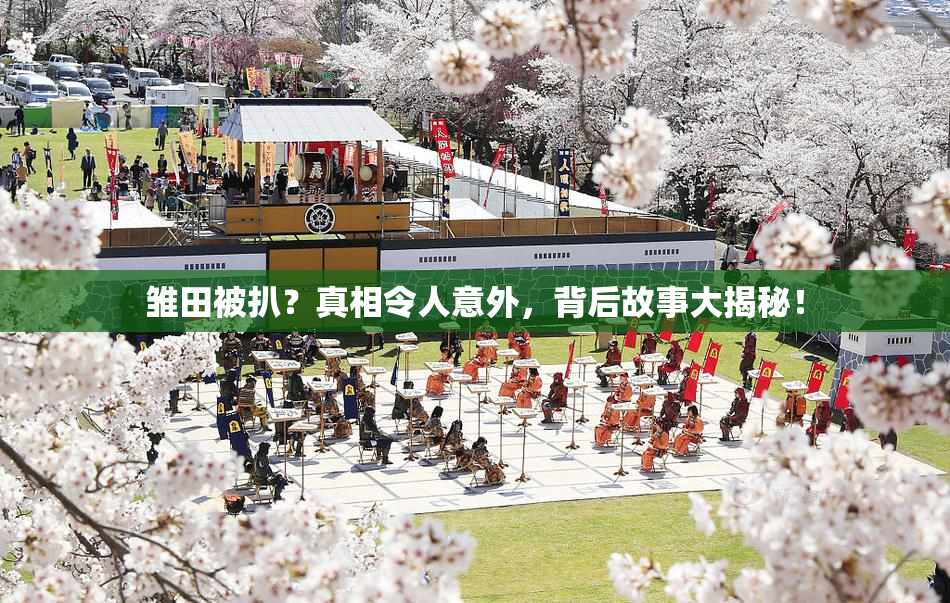 雏田被扒？真相令人意外，背后故事大揭秘！
