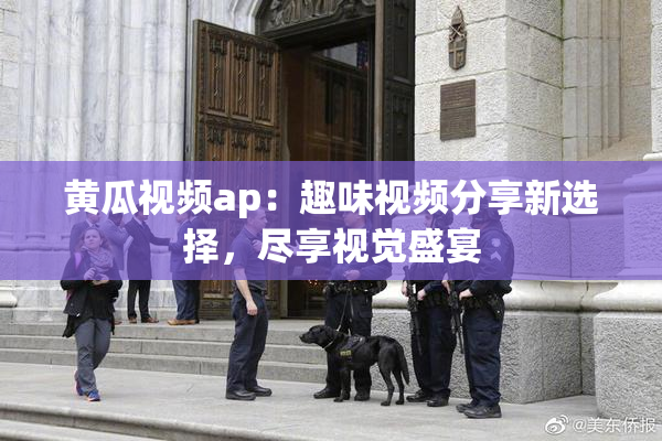黄瓜视频ap：趣味视频分享新选择，尽享视觉盛宴