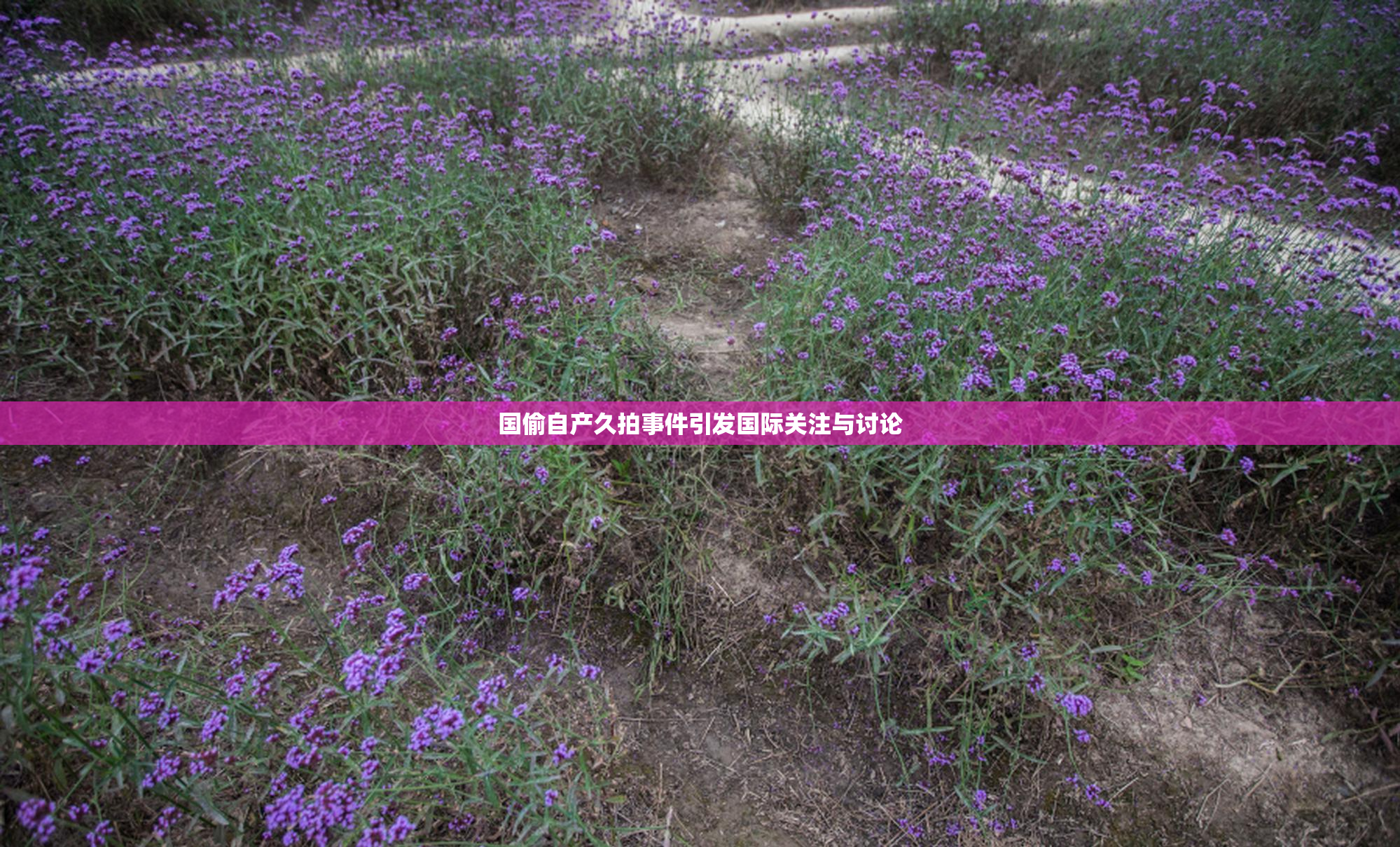 国偷自产久拍事件引发国际关注与讨论