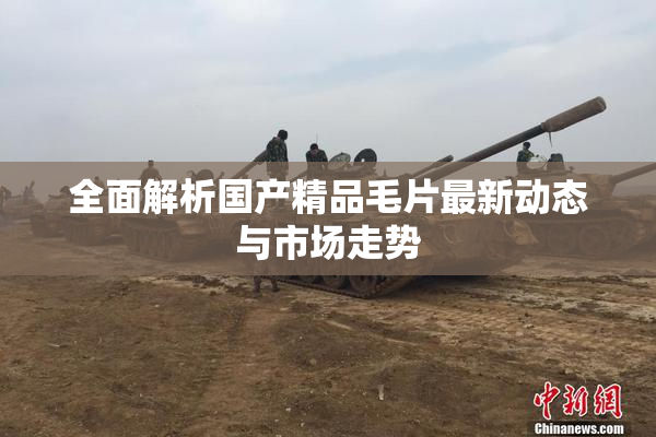 全面解析国产精品毛片最新动态与市场走势