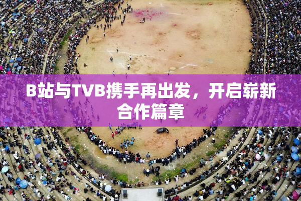 B站与TVB携手再出发，开启崭新合作篇章