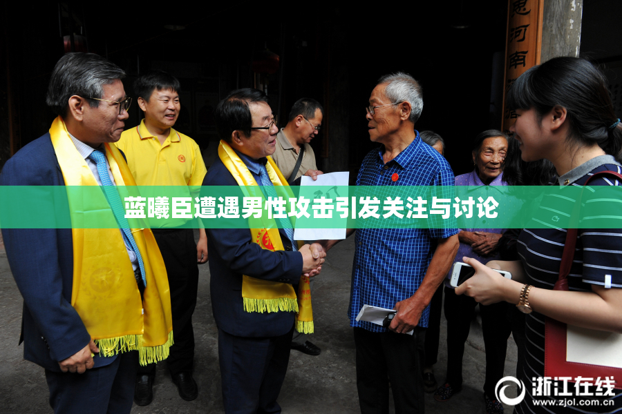 蓝曦臣遭遇男性攻击引发关注与讨论