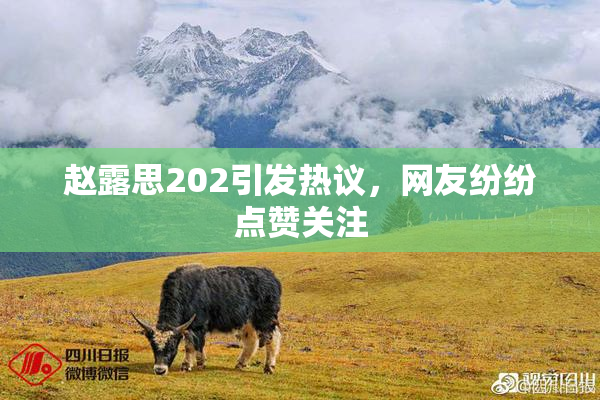 赵露思202引发热议，网友纷纷点赞关注