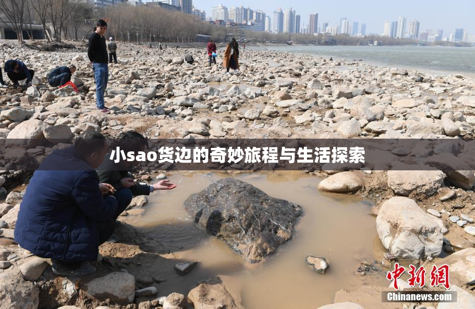 小sao货边的奇妙旅程与生活探索