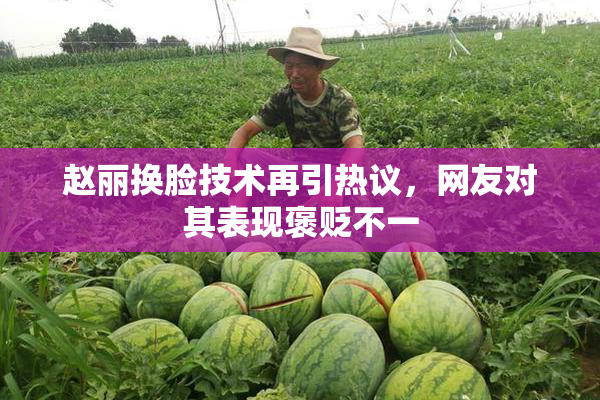 赵丽换脸技术再引热议，网友对其表现褒贬不一
