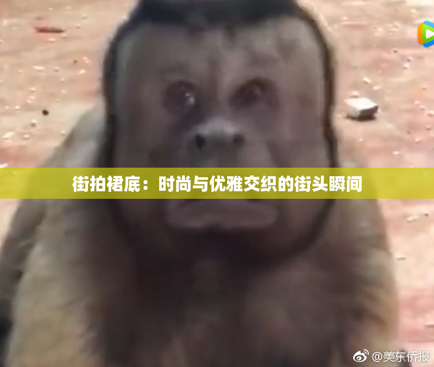 街拍裙底：时尚与优雅交织的街头瞬间