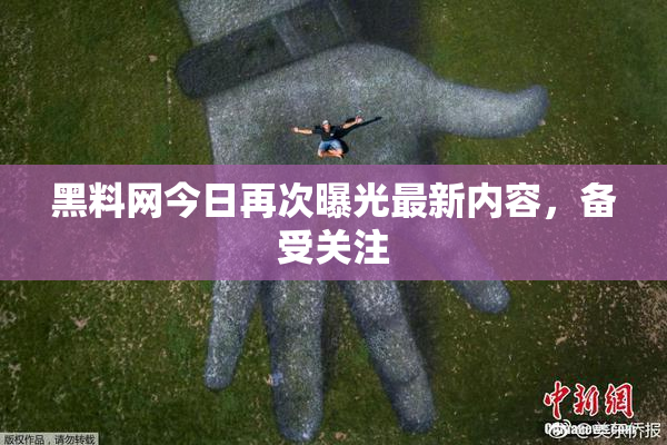 黑料网今日再次曝光最新内容，备受关注