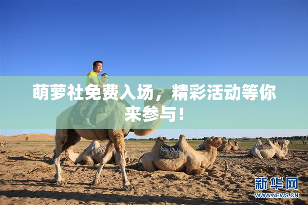 萌萝社免费入场，精彩活动等你来参与！