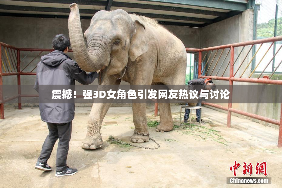 震撼！强3D女角色引发网友热议与讨论