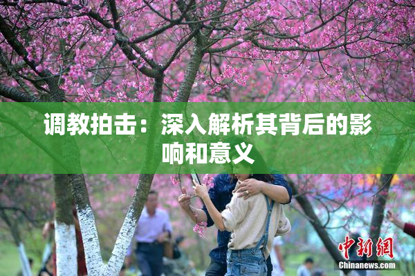 调教拍击：深入解析其背后的影响和意义