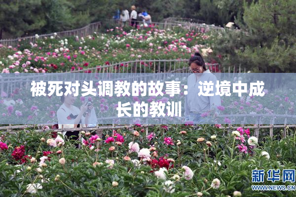 被死对头调教的故事：逆境中成长的教训