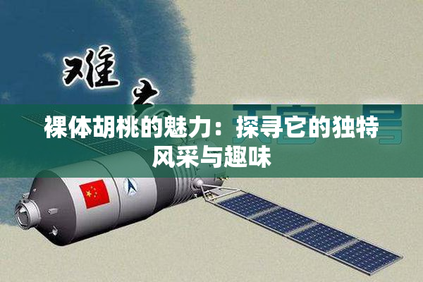 裸体胡桃的魅力：探寻它的独特风采与趣味