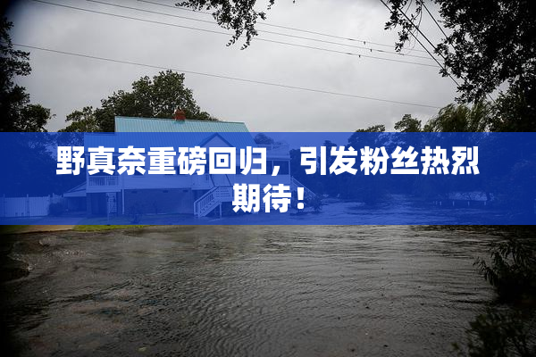 野真奈重磅回归，引发粉丝热烈期待！