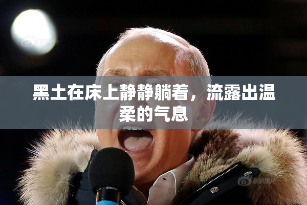 黑土在床上静静躺着，流露出温柔的气息