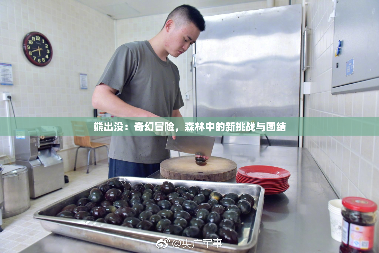 熊出没：奇幻冒险，森林中的新挑战与团结