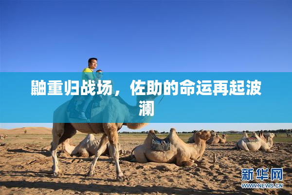 鼬重归战场，佐助的命运再起波澜