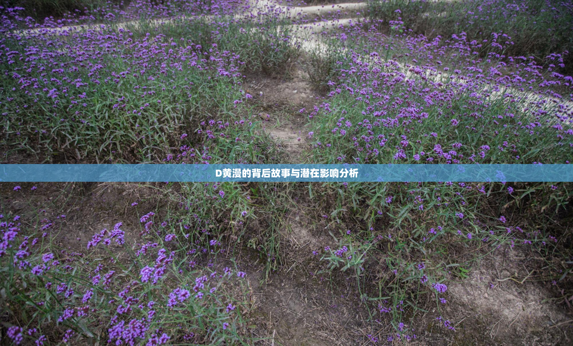 D黄漫的背后故事与潜在影响分析