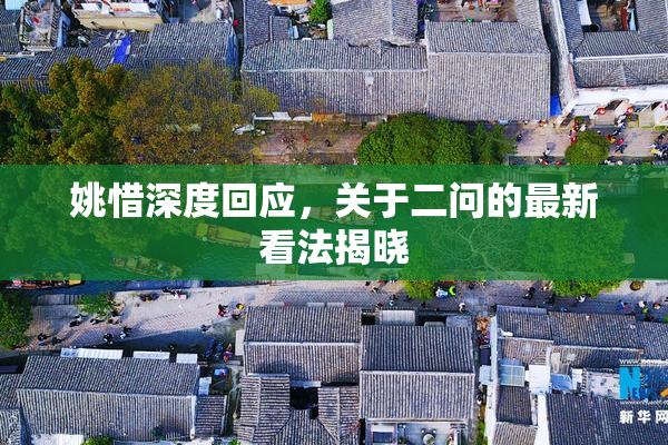 姚惜深度回应，关于二问的最新看法揭晓