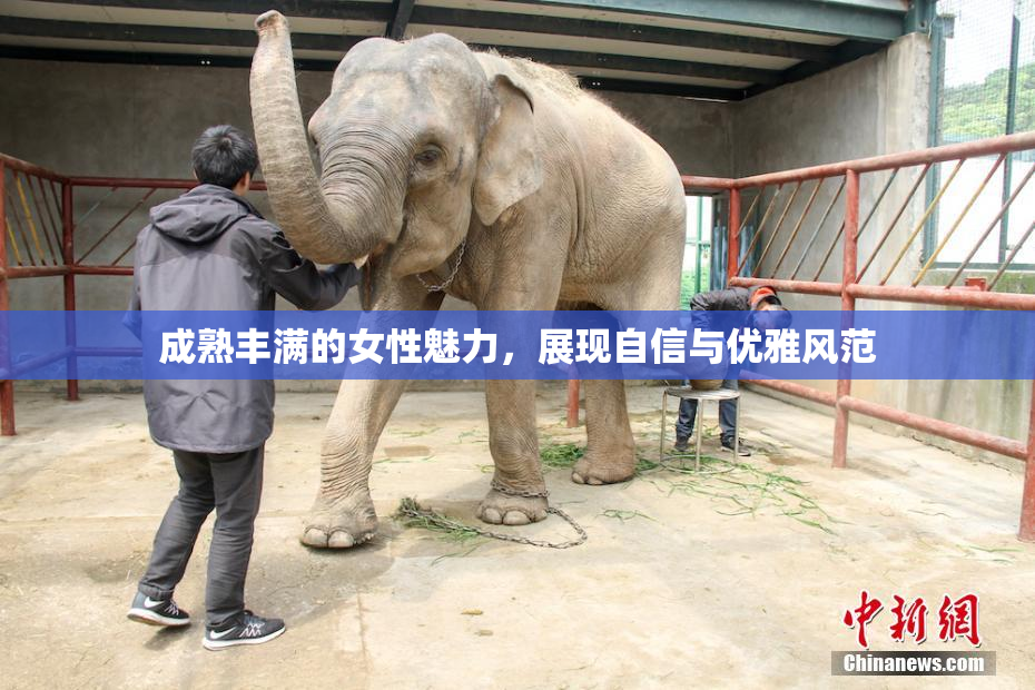 成熟丰满的女性魅力，展现自信与优雅风范