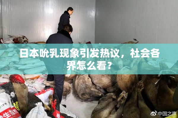 日本吮乳现象引发热议，社会各界怎么看？