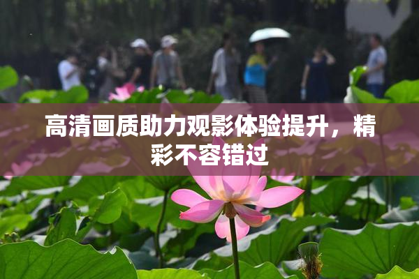 高清画质助力观影体验提升，精彩不容错过