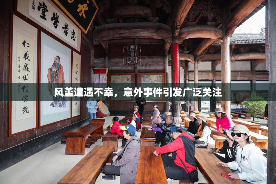风堇遭遇不幸，意外事件引发广泛关注