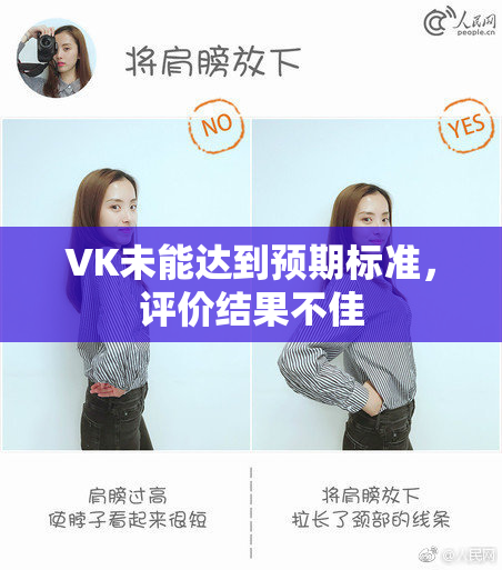VK未能达到预期标准，评价结果不佳