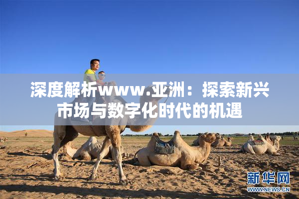 深度解析www.亚洲：探索新兴市场与数字化时代的机遇