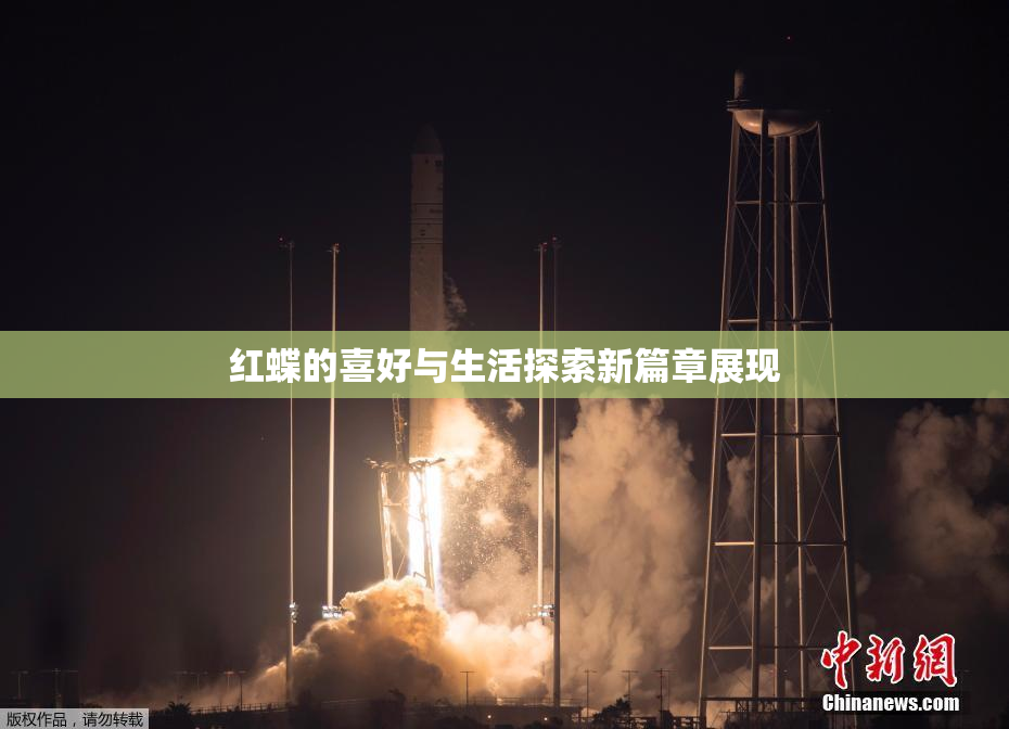 红蝶的喜好与生活探索新篇章展现