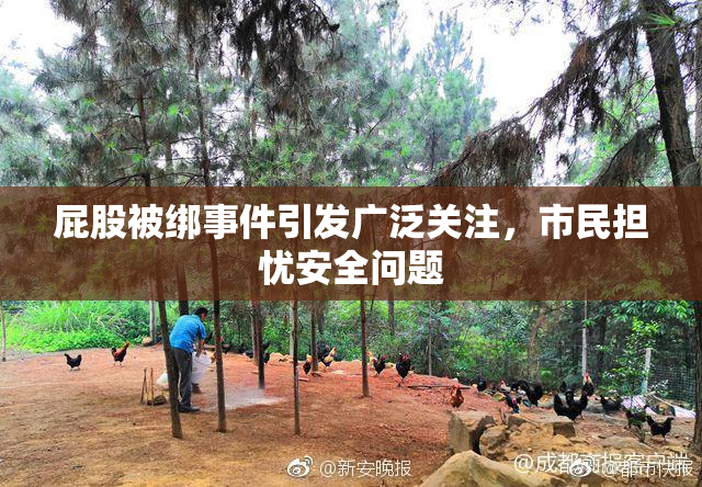 屁股被绑事件引发广泛关注，市民担忧安全问题