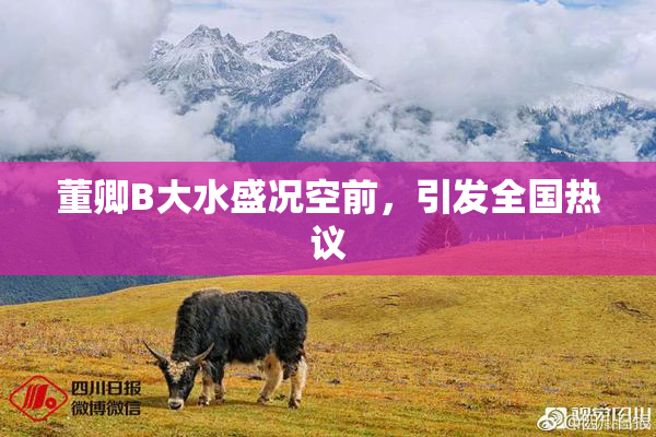 董卿B大水盛况空前，引发全国热议