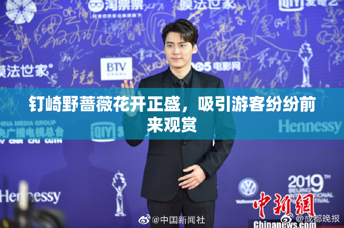 钉崎野蔷薇花开正盛，吸引游客纷纷前来观赏