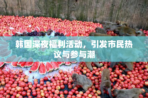 韩国深夜福利活动，引发市民热议与参与潮