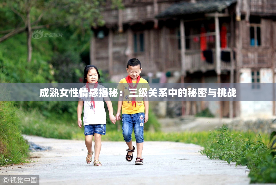 成熟女性情感揭秘：三级关系中的秘密与挑战
