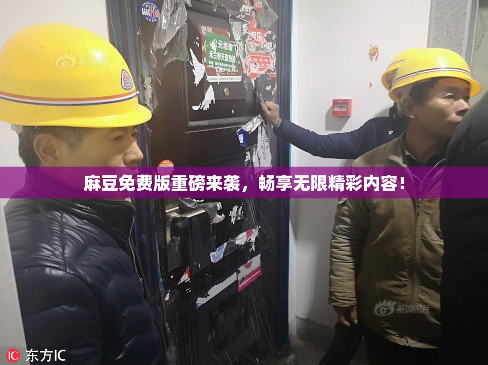 麻豆免费版重磅来袭，畅享无限精彩内容！