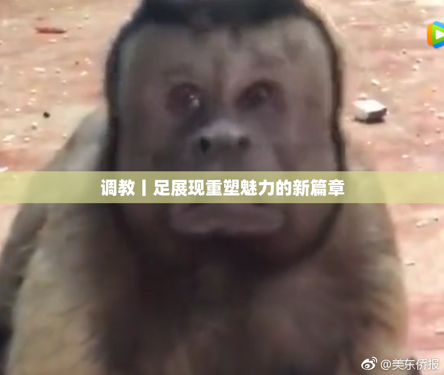 调教丨足展现重塑魅力的新篇章