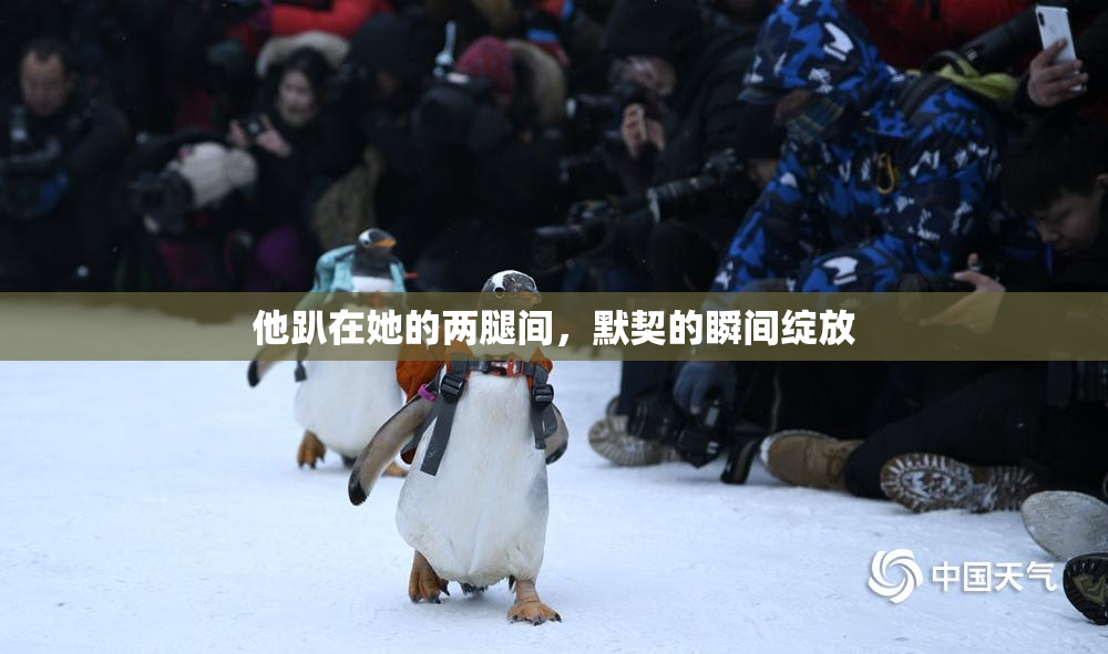 他趴在她的两腿间，默契的瞬间绽放