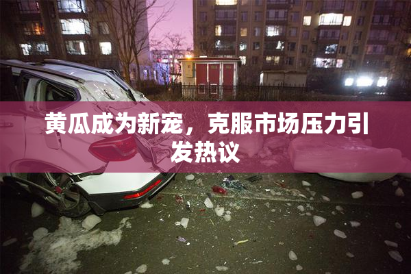 黄瓜成为新宠，克服市场压力引发热议