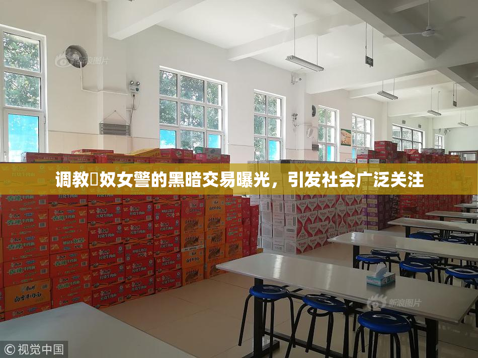 调教婬奴女警的黑暗交易曝光，引发社会广泛关注