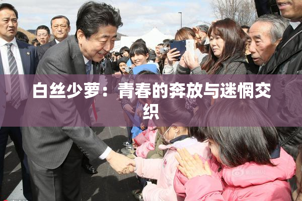 白丝少萝：青春的奔放与迷惘交织