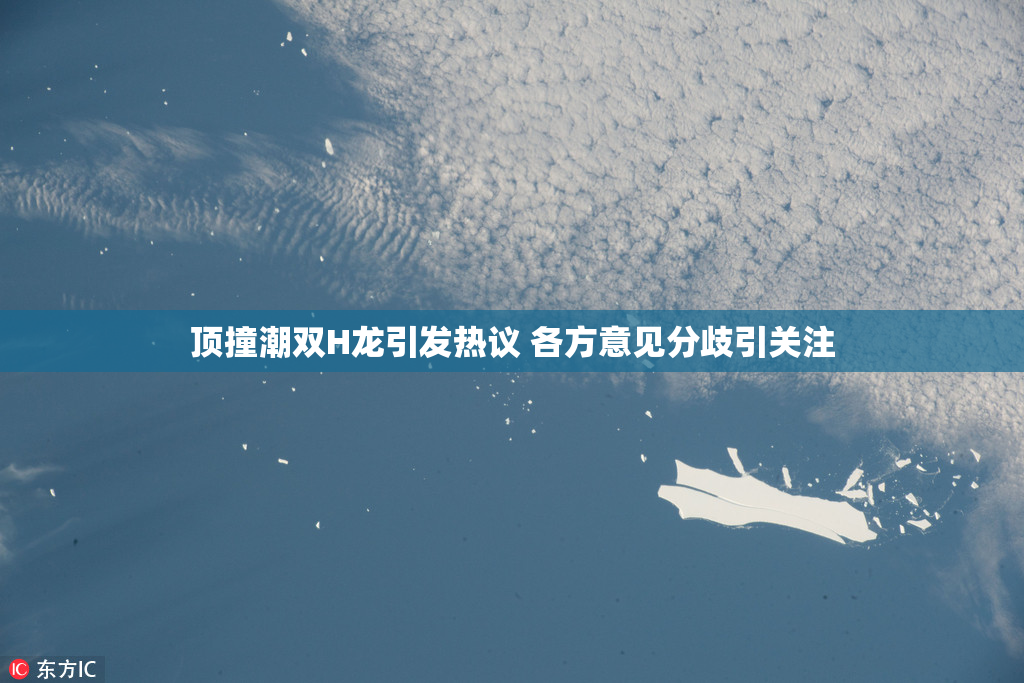 顶撞潮双H龙引发热议 各方意见分歧引关注