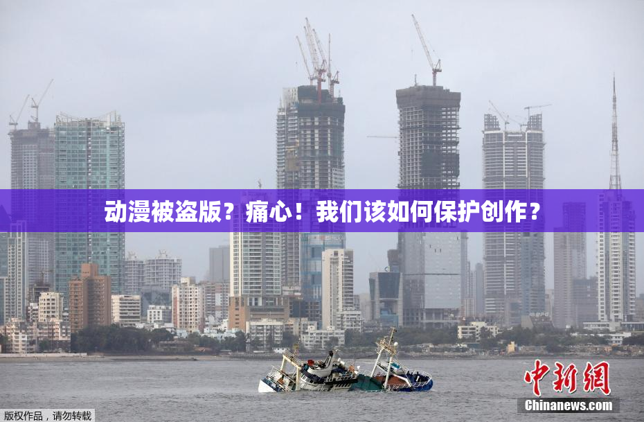 动漫被盗版？痛心！我们该如何保护创作？