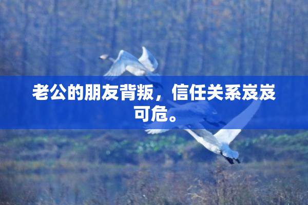 老公的朋友背叛，信任关系岌岌可危。