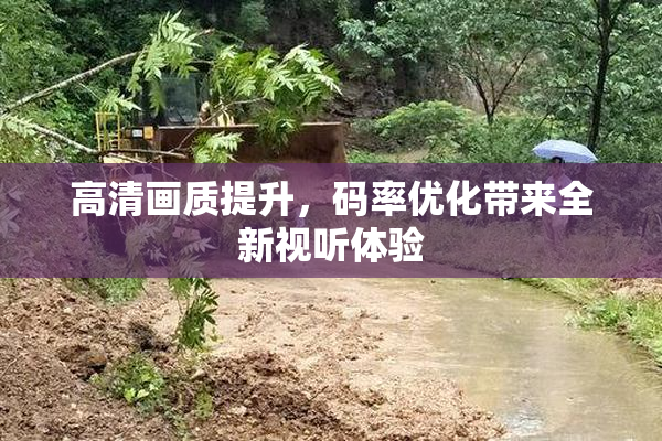 高清画质提升，码率优化带来全新视听体验