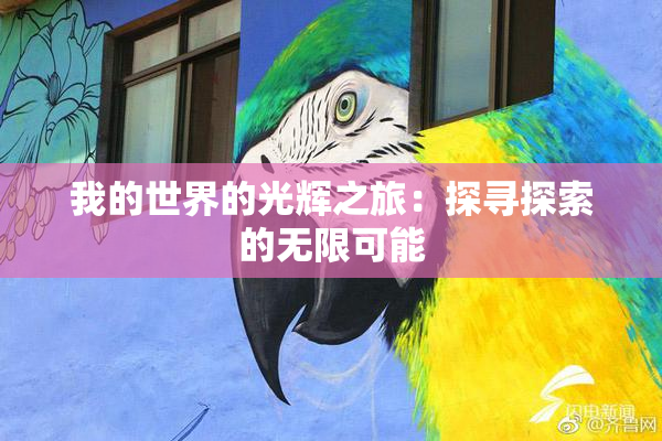 我的世界的光辉之旅：探寻探索的无限可能