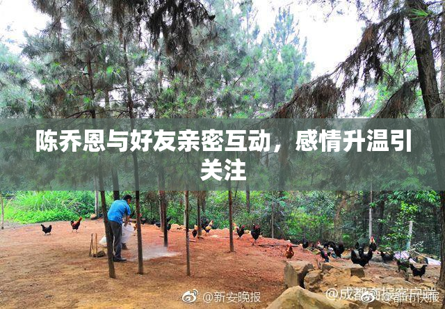 陈乔恩与好友亲密互动，感情升温引关注