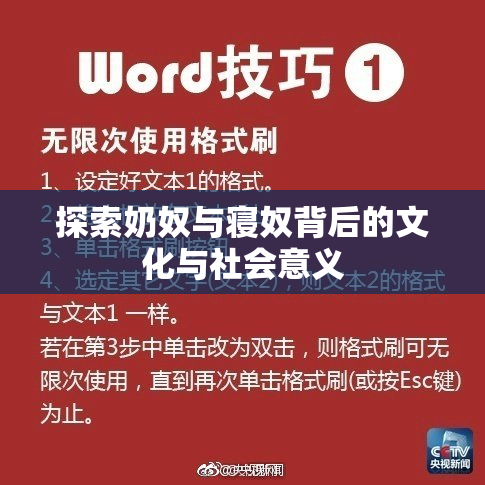 探索奶奴与寝奴背后的文化与社会意义