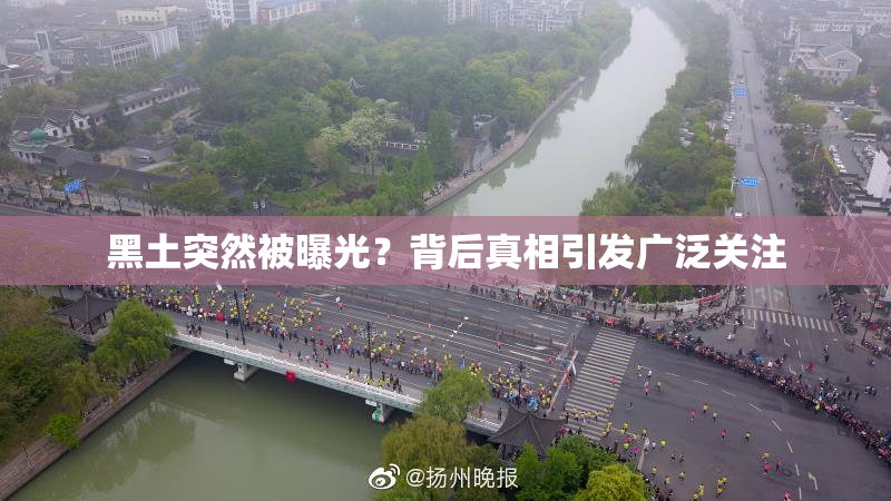 黑土突然被曝光？背后真相引发广泛关注